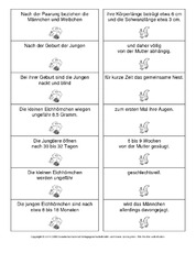 Eichhörnchen-Satzteile-verbinden-4.pdf